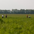 Wilga Cup 2012 IMG_3913